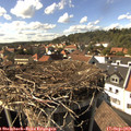 15_55-nest.jpg