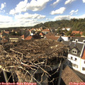 16_00-nest.jpg