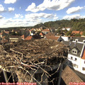 16_05-nest.jpg