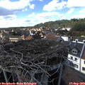 16_10-nest.jpg