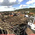 16_15-nest.jpg