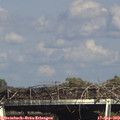 16_20-mast.jpg