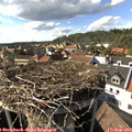16_20-nest.jpg