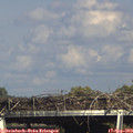 16_25-mast.jpg