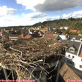 16_25-nest.jpg
