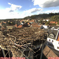 16_30-nest.jpg