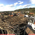 16_35-nest.jpg