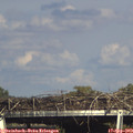 16_40-mast.jpg