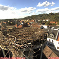 16_40-nest.jpg