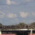 16_45-mast.jpg