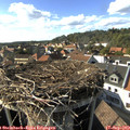 16_45-nest.jpg