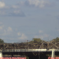16_55-mast.jpg