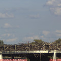 17_00-mast.jpg