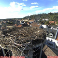 17_00-nest.jpg