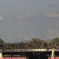 17_10-mast.jpg