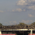 17_15-mast.jpg