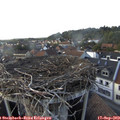 17_25-nest.jpg