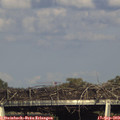 17_30-mast.jpg