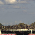 17_35-mast.jpg