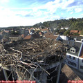 17_40-nest.jpg