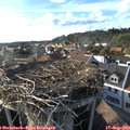17_45-nest.jpg