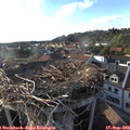 18_10-nest.jpg