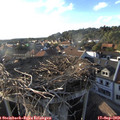 18_15-nest.jpg