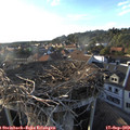 18_25-nest.jpg