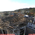18_30-nest.jpg