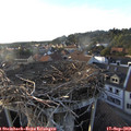 18_35-nest.jpg