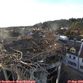 18_40-nest.jpg