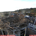 18_45-nest.jpg