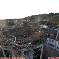 18_50-nest.jpg