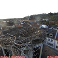 18_55-nest.jpg