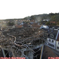 19_00-nest.jpg