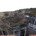 19_05-nest.jpg