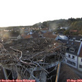 19_10-nest.jpg
