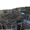 19_15-nest.jpg
