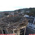 07_20-nest.jpg