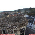 07_25-nest.jpg