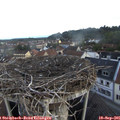 07_35-nest.jpg