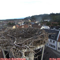 07_45-nest.jpg
