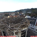 07_50-nest.jpg