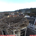 07_55-nest.jpg