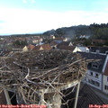 08_00-nest.jpg