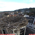 08_05-nest.jpg