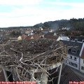 08_15-nest.jpg