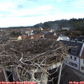 08_20-nest.jpg