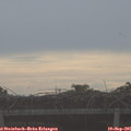 08_25-mast.jpg