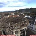 08_25-nest.jpg